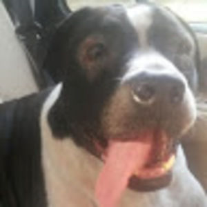 Meet your Posher, April